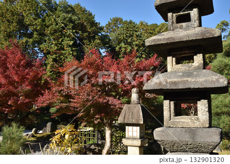 秋の金戒光明寺　紫雲の庭(京都市左京区) 132901320