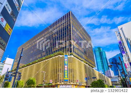 日本の東京都市景観11月4日。新橋駅 烏森口側(右奥)やニュー新橋ビルなどを望む。右奥上は汐留 日本の東京都市景観11月4日。新橋駅 烏森口側(右奥)やニュー新橋ビルなどを望む。右奥上は汐留 132901422