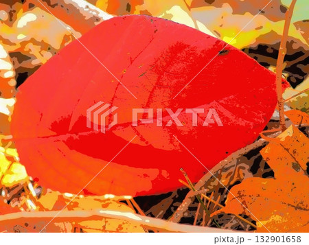 真っ赤な落ち葉（20251108102216） 132901658