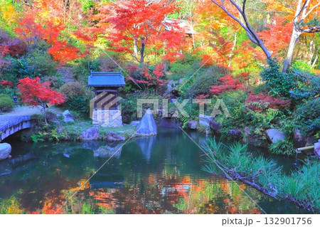 秋の善水寺（百伝池・湖南市） 132901756