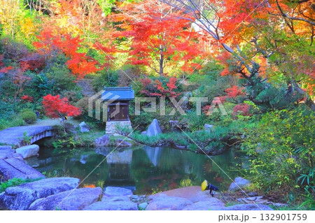 秋の善水寺（百伝池・湖南市） 132901759