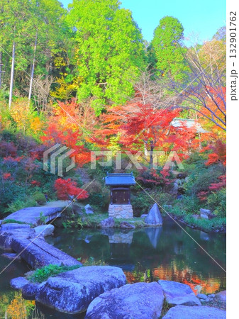 秋の善水寺(百伝池・湖南市・縦構図) 秋の善水寺(百伝池・湖南市・縦構図) 132901762