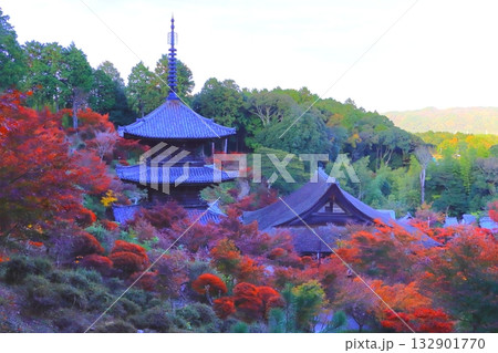 秋の常楽寺（国宝本堂と国宝三重塔・湖南市） 132901770