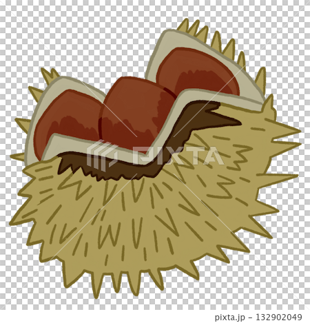 打開的栗子瘤 打開的栗子瘤 132902049