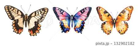 Butterflies 132902182