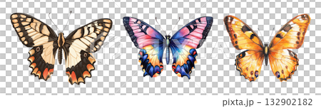 Butterflies 132902182