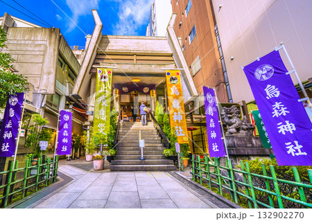 日本の東京都市景観 新橋・烏森神社などを望む日=11月4日 日本の東京都市景観 新橋・烏森神社などを望む日=11月4日 132902270