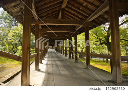 東福寺　朝のやさしい日差しに照らされる通天橋2 132902280