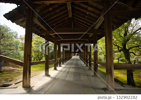東福寺　朝のやさしい日差しに照らされる通天橋4 132902282