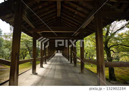 東福寺 朝のやさしい日差しに照らされる通天橋6 東福寺 朝のやさしい日差しに照らされる通天橋6 132902284