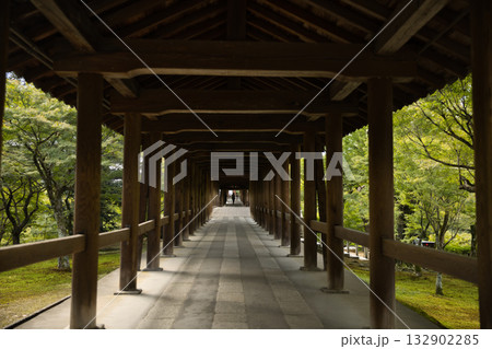 東福寺 朝のやさしい日差しに照らされる通天橋7 東福寺 朝のやさしい日差しに照らされる通天橋7 132902285