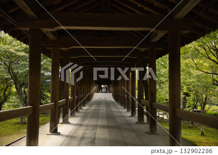 東福寺　朝のやさしい日差しに照らされる通天橋8 132902286