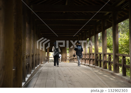 東福寺　朝のやさしい日差しに照らされる通天橋12 132902303