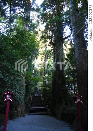 箱根神社の名物89の階段 箱根神社の名物89の階段 132902572