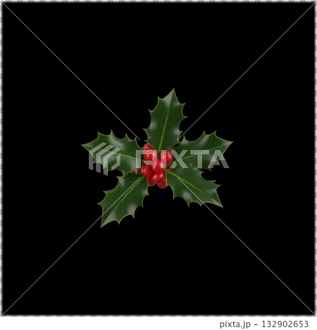 聖誕節：冬青葉和紅色漿果 132902653