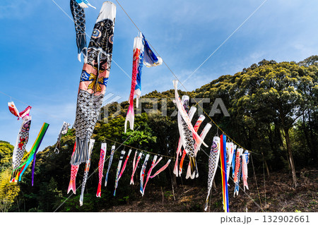 東長崎　中里ふれあい公園の鯉のぼり【長崎県長崎市】 132902661