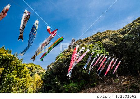 東長崎 中里ふれあい公園の鯉のぼり【長崎県長崎市】 東長崎 中里ふれあい公園の鯉のぼり【長崎県長崎市】 132902662