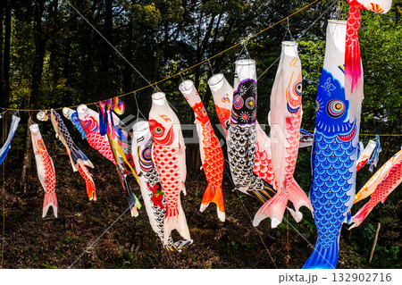 東長崎　中里ふれあい公園の鯉のぼり【長崎県長崎市】 132902716
