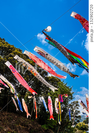 東長崎 中里ふれあい公園の鯉のぼり【長崎県長崎市】 東長崎 中里ふれあい公園の鯉のぼり【長崎県長崎市】 132902720