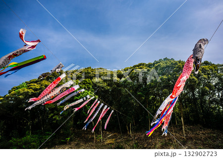 東長崎　中里ふれあい公園の鯉のぼり【長崎県長崎市】 132902723