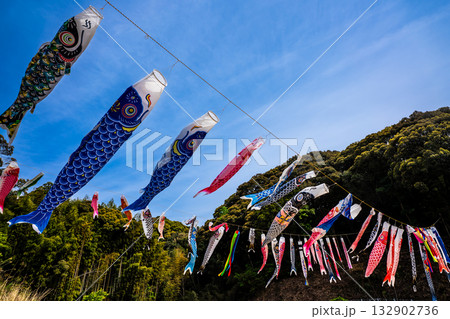 東長崎　中里ふれあい公園の鯉のぼり【長崎県長崎市】 132902736