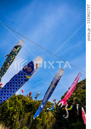 東長崎　中里ふれあい公園の鯉のぼり【長崎県長崎市】 132902737