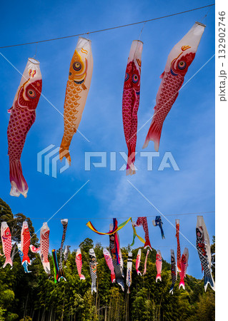 東長崎　中里ふれあい公園の鯉のぼり【長崎県長崎市】 132902746