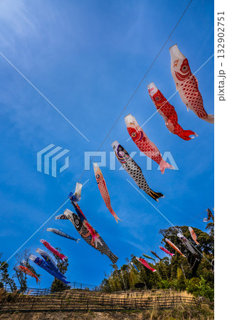 東長崎　中里ふれあい公園の鯉のぼり【長崎県長崎市】 132902751