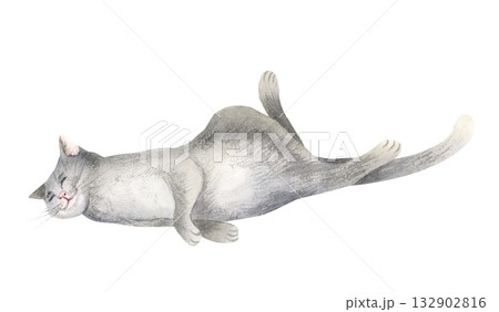 Sleeping gray cat watercolor isolated illustration. Domestic animal in funny horizontal pose clip art for cute hand drawn designs, adoption and rescue shelters and pet shops 132902816