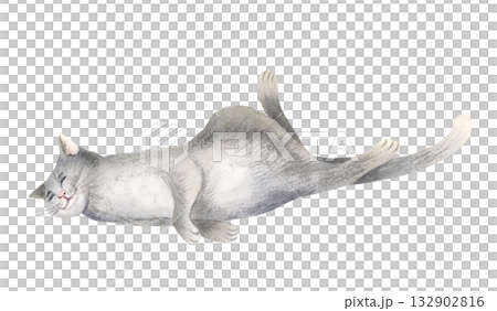 Sleeping gray cat watercolor isolated illustration. Domestic animal in funny horizontal pose clip art for cute hand drawn designs, adoption and rescue shelters and pet shops 132902816
