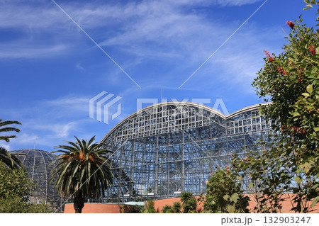 東京都江東区の夢の島熱帯植物館の風景 132903247
