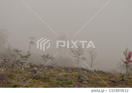 国道299号線　麦草峠付近の風景 132903612