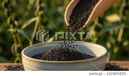 Black sesame seeds pouring from wooden scoop into ceramic bowl with blurred green plant background in natural sunlight Black sesame seeds pouring from wooden scoop into ceramic bowl with blurred green plant background in natural sunlight 132903820