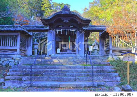 秋の三井寺(護法社唐門・大津市) 秋の三井寺(護法社唐門・大津市) 132903997