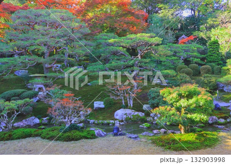 秋の旧竹林院(名勝庭園・大津市) 秋の旧竹林院(名勝庭園・大津市) 132903998