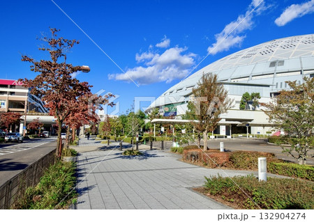 快晴下のナゴヤドーム（バンテリンドームナゴヤ） 132904274