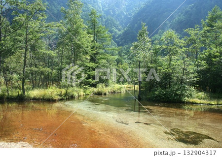 Nature　自然 132904317