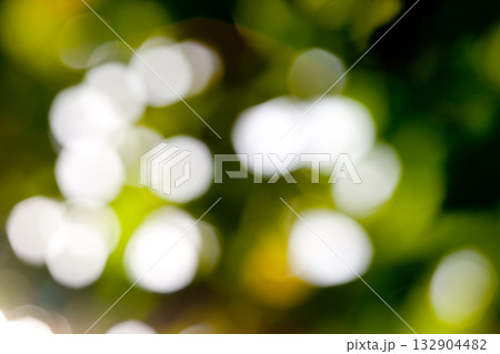 natural background natural background 132904482