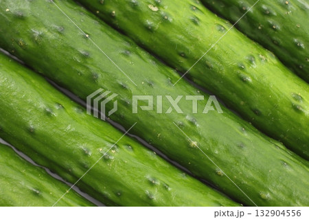 畑から採れたてのような、生命力に満ち溢れた濃緑のキュウリ 畑から採れたてのような、生命力に満ち溢れた濃緑のキュウリ 132904556