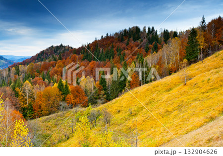 mountain landscape mountain landscape 132904626