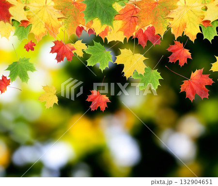 leaves leaves 132904651