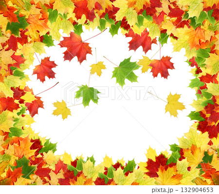 leaves leaves 132904653