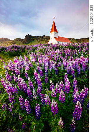 Great view of the church in evening light. Location Vik village, Iceland, Europe. 132904832