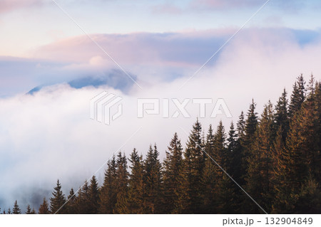 Morning fog covered the hills with spruces. Dramatic and gorgeous scene. 132904849
