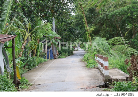 ベトナムの緑の植物におおわれた道の風景 ベトナムの緑の植物におおわれた道の風景 132904889