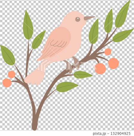 modern flat bird illustration for nature lovers 132904925