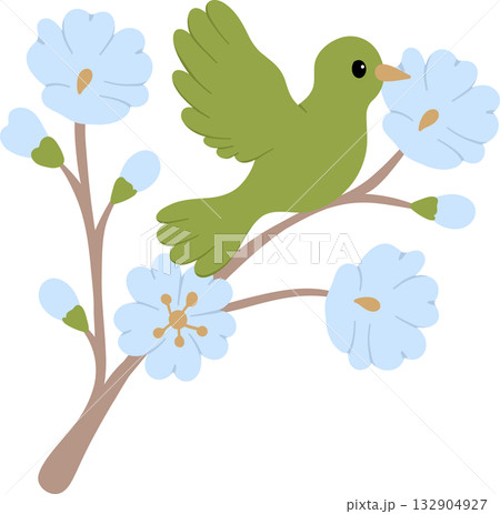 tropical bird flat illustration wildlife art 132904927