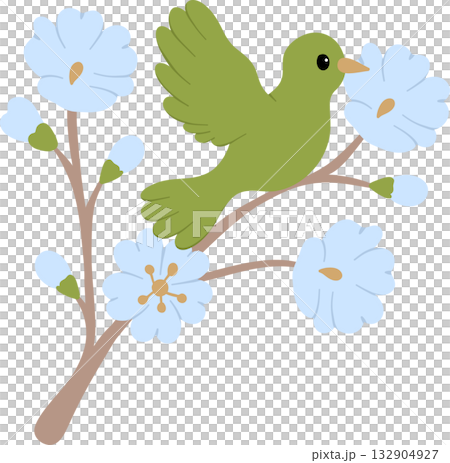 tropical bird flat illustration wildlife art 132904927