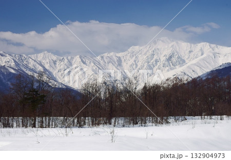 白馬村から望む五竜岳 132904973