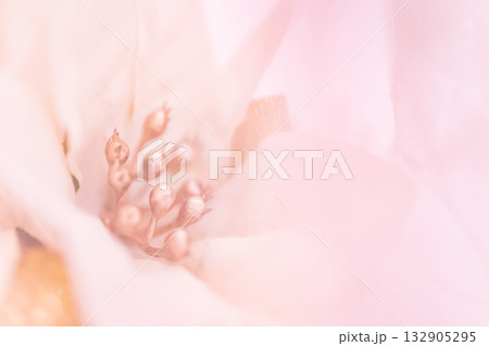 クリスマスリース・冬 イメージ 132905295